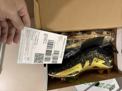 Shipped Order