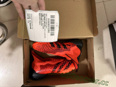 Shipped Order