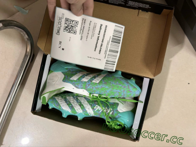 Shipped Order