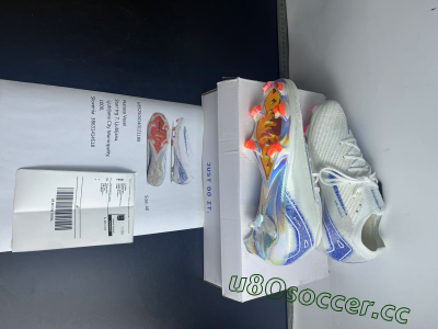 Shipped Order