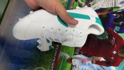 Men's Nike The Premier 3 FG Firm Ground Low-Tops Football Boots - White/Blue